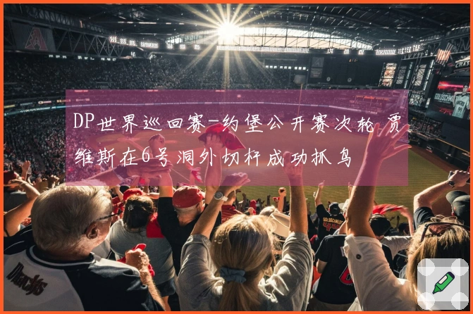 DP世界巡回赛-约堡公开赛次轮 贾维斯在6号洞外切杆成功抓鸟