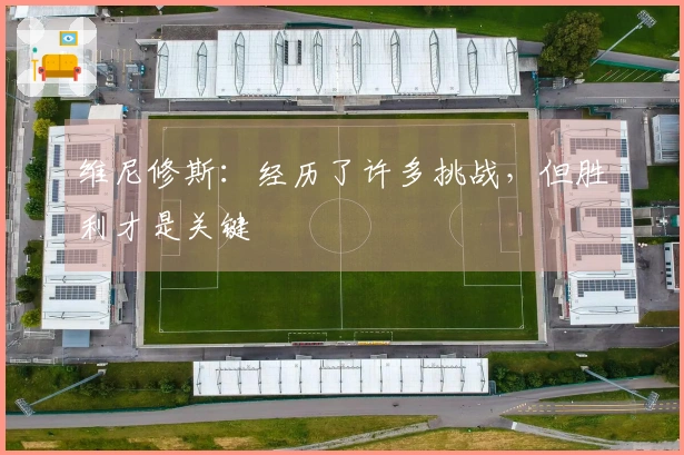 维尼修斯：经历了许多挑战，但胜利才是关键
