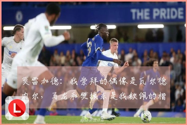 莫雷加德：我崇拜的偶像是瓦尔德内尔，马龙和樊振东是我钦佩的楷模